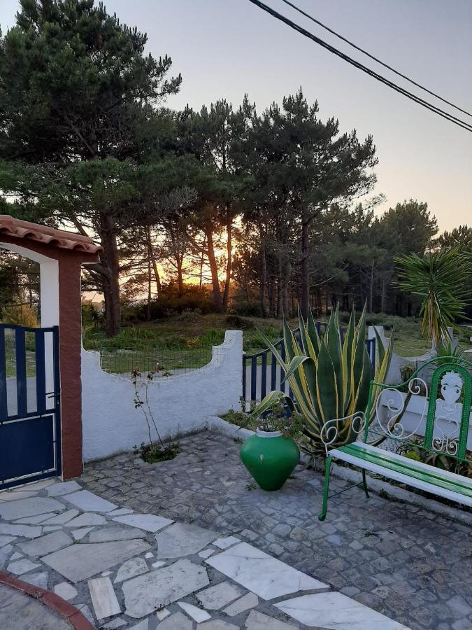 Lemos Family Beach House Nazaré Exteriör bild